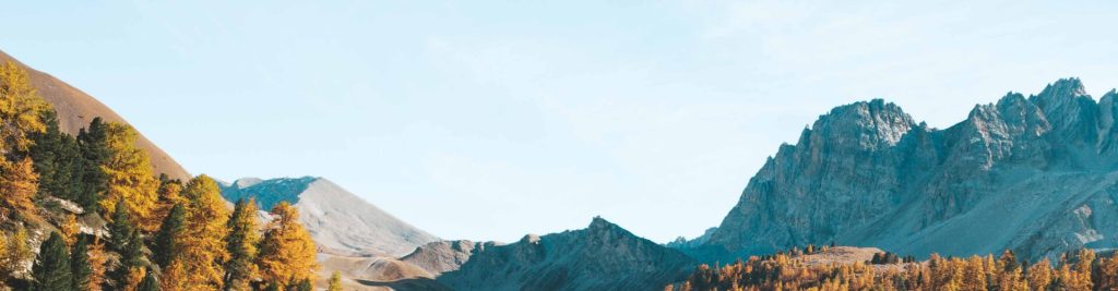 contact hero 1 1024x267.jpg contact hero 1 1024x267.jpg